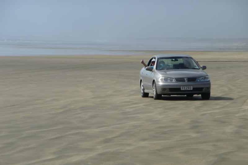 Nieuw-Zeeland 2011 - 0403